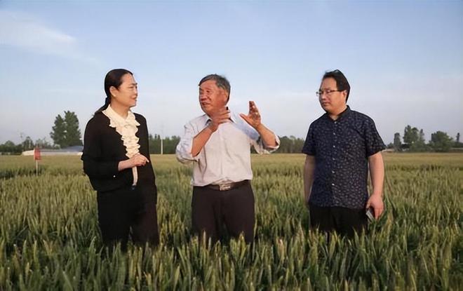 花56年培育小麦被誉为小麦界袁隆平ag旗舰厅注册河南初中毕业的科学家(图9)
