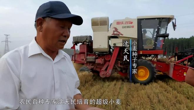 花56年培育小麦被誉为小麦界袁隆平ag旗舰厅注册河南初中毕业的科学家(图10)
