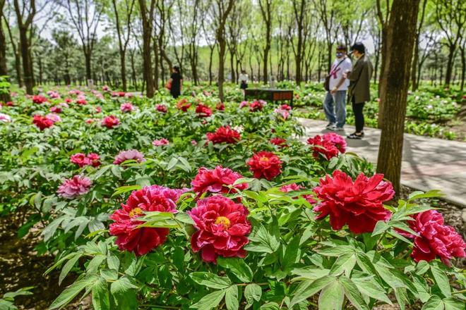 2：三大+书市+特色小镇打卡文旅新地标AG旗舰厅网站120小时玩转副中心-(图4)